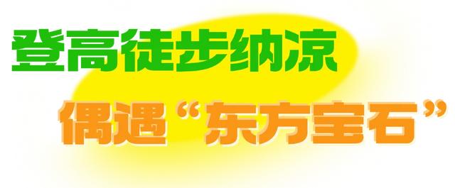 解锁初秋遛娃新花样！登山、溯溪、竹筏漂流……带娃玩转丹霞山水间