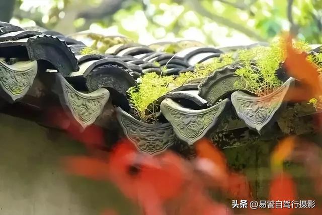 震撼!故宫瓦当,紫禁城守望者;中式美学老屋瓦当 只有中国人才懂