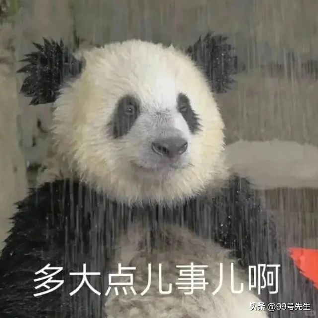 “下雨这样发，去笑死你的朋友圈”