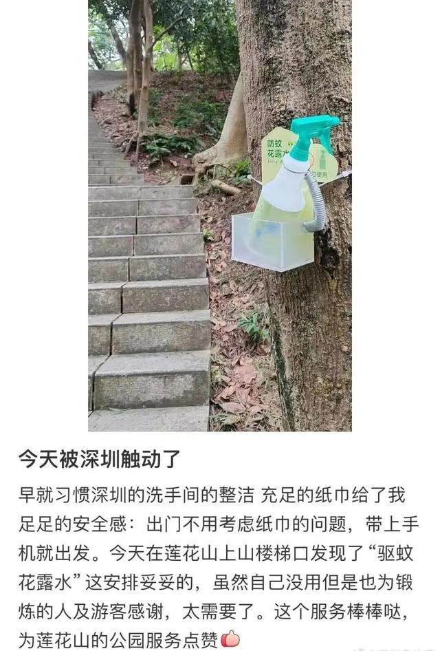 莲花山又有新惊喜！网友：太懂我的需求了！