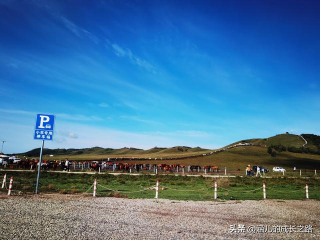 总要去趟草原吧！自驾塞罕坝和乌兰布统超简攻略（附图超全）