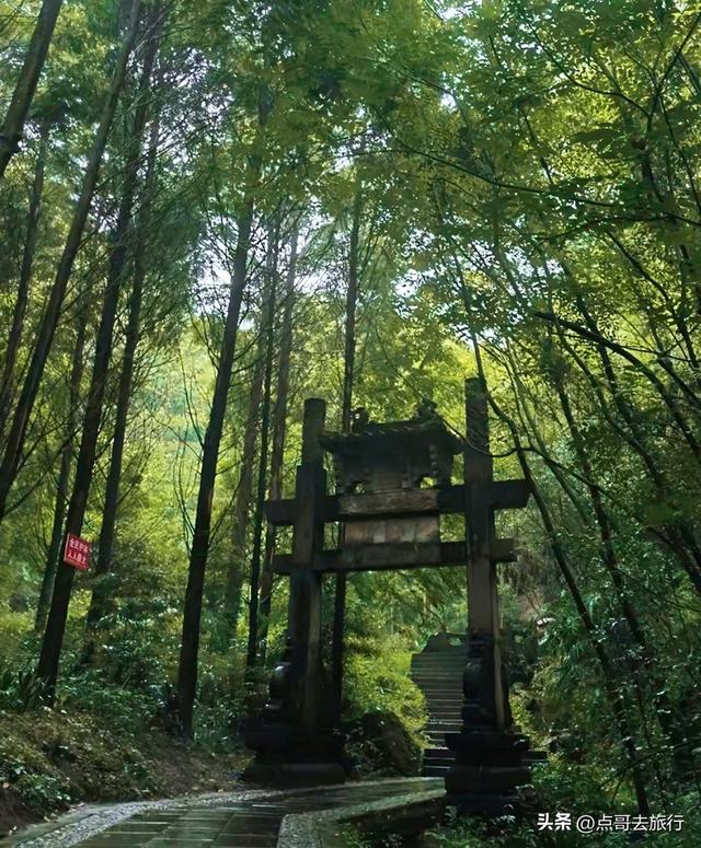 成都崇州徒步首选，被低估的森林路线，全部免费，风景超级惊艳！