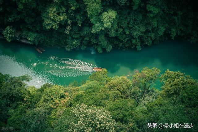 成都国庆去哪里？高铁畅游圈：4小时直达12城，开启别样亲子行