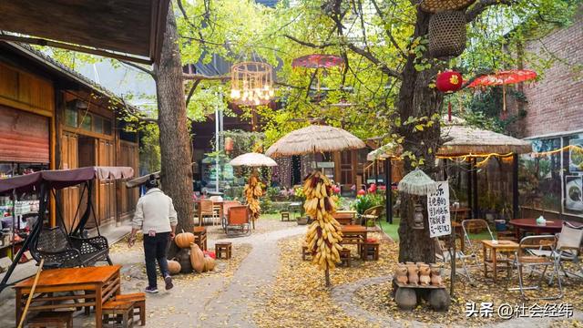 千年银杏染醉腾冲秋——走进“中国银杏第一村”