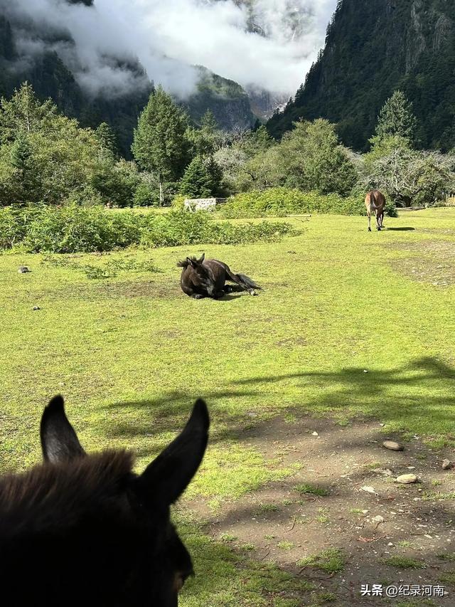 是时候恢复主流媒体的舆论监督力度