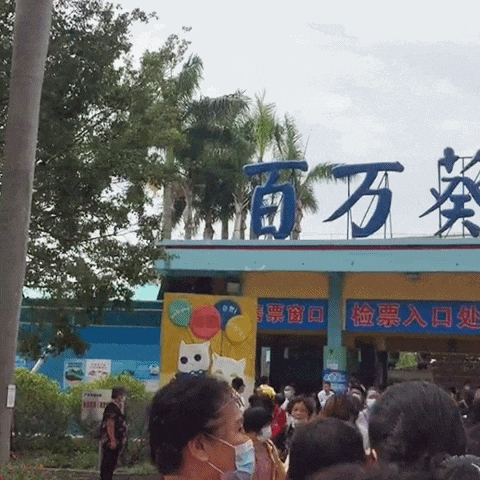 曾经红极一时！南沙这个知名景区彻底落幕！如今杂草丛生一片荒凉
