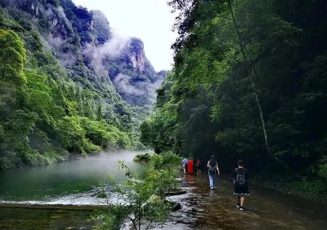 乡游黔中 · 绥阳县 蒲场镇丨茶香漫山，诗画山水迎客来