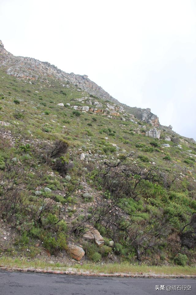 南部非洲：南非开普敦企鹅岛