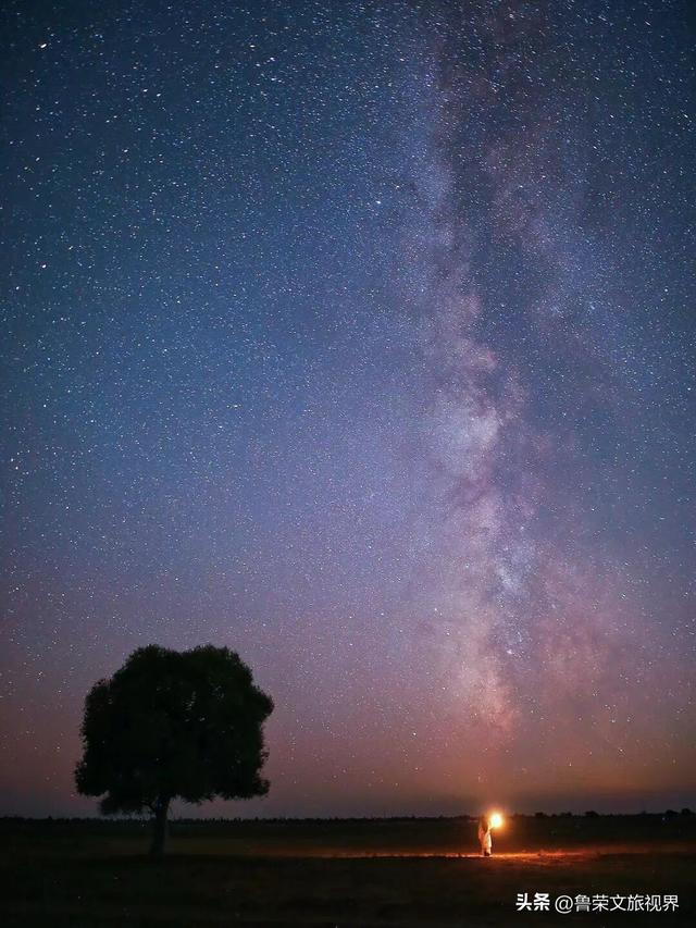 低调的财富绿洲：解锁鄂尔多斯的秘境之旅