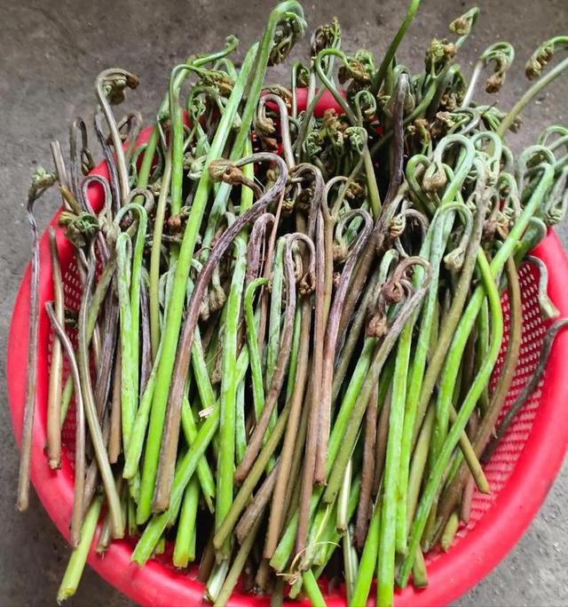 央视曝光“毒蔬菜	”！0.08克便可致器官衰竭，已流窜到全国多地