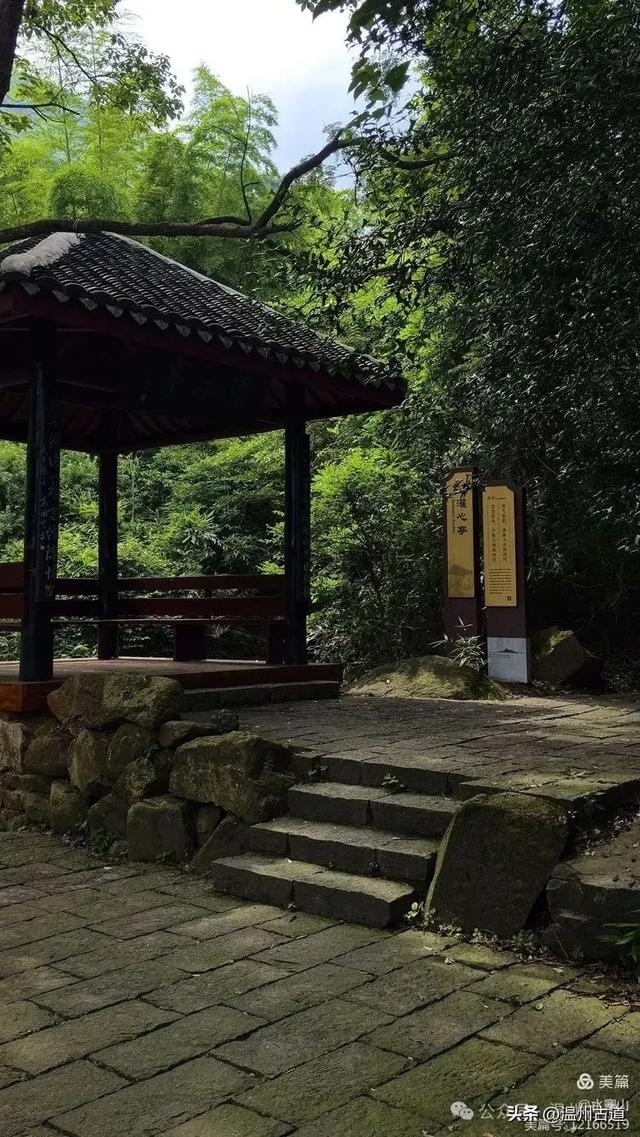 大多浙江人不知道的小众秘境，绿野仙踪！秘藏了“浙东第一古道"