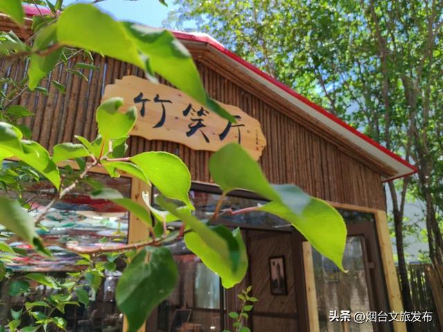 【乐游烟台】八月好去处｜烟台通往大海的木栈道，超赞！附汽水音乐派对交通攻略