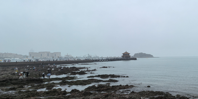 国庆自驾第四站：青岛，烟雨迷蒙中的重逢与邂逅