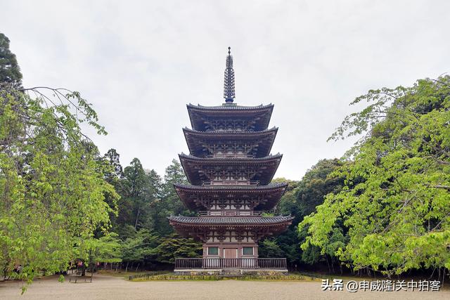日本京都：寻访13处世界文化遗产点