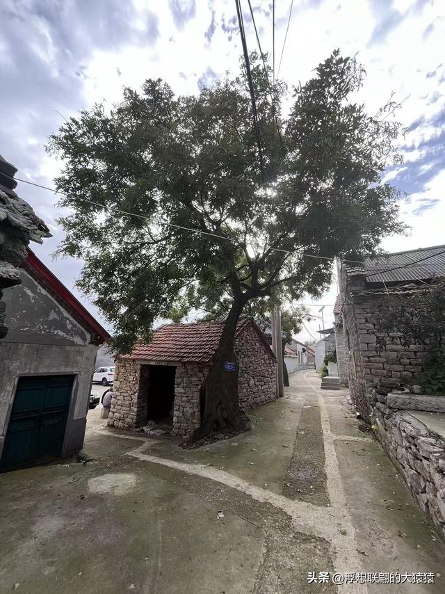 莱芜禹王山顶有座明初建立的古村：东平洲
