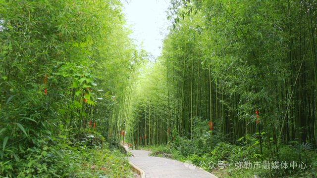 弥勒这里又上央视！还有…