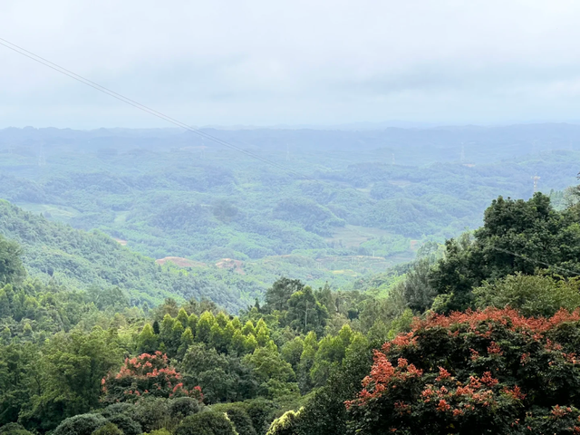 3刷这条野趣十足的徒步路线，成都1.5h可达，冷门清幽！