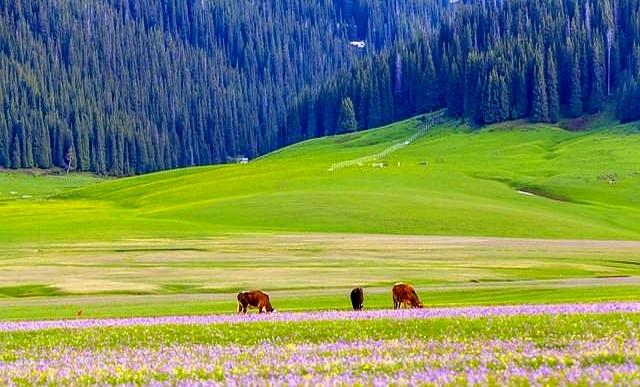 我今年56岁才顿悟！男人没了女人就2个字，女人没了男人就4个字！