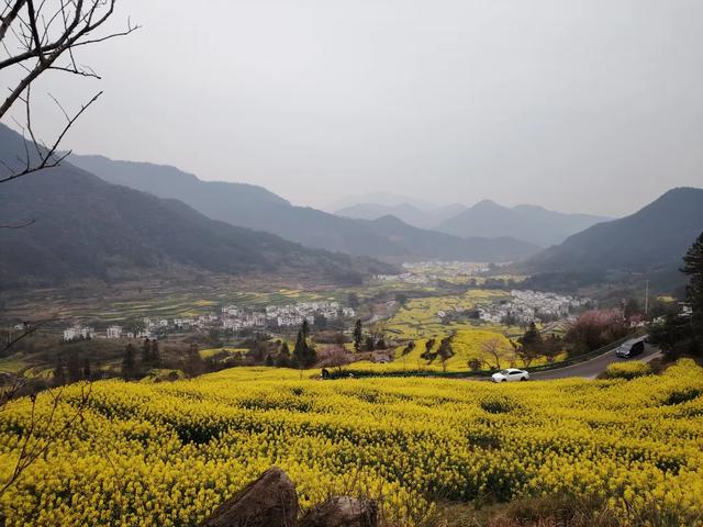 婺源油菜花花期播报/助力花海盛放，光影绝佳，适合摄影打卡