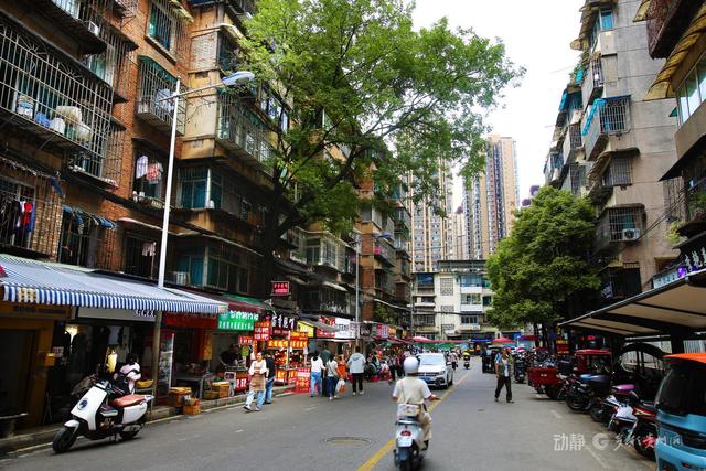 贵阳巷里走丨八鸽岩路：时光深处的老街记忆