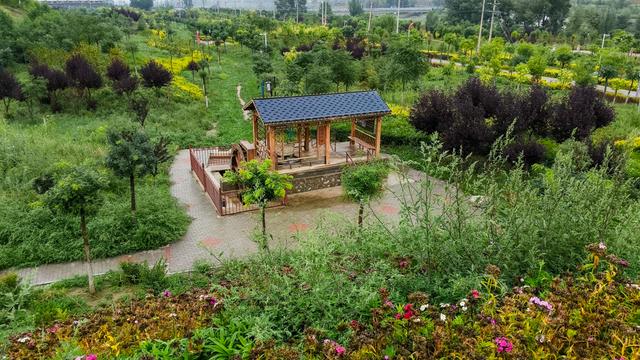 古浪：秋雨绵绵撒美景