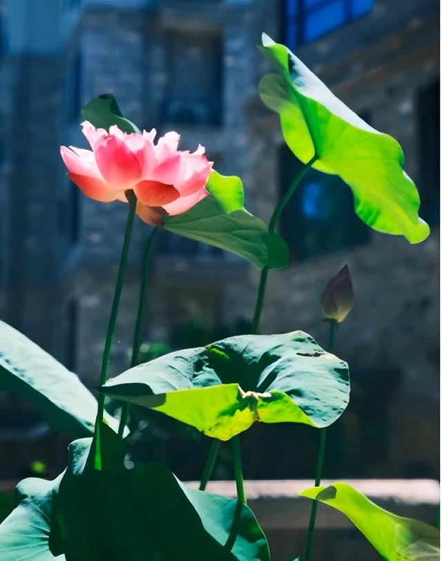 26℃、人少景美、消费低！这个小众小城才是今年暑假最佳选择！