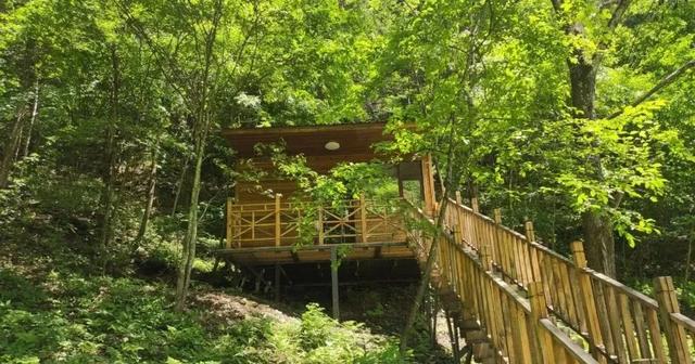 乘着高铁游白山 | 优享盛夏·清凉白山康养避暑游线路