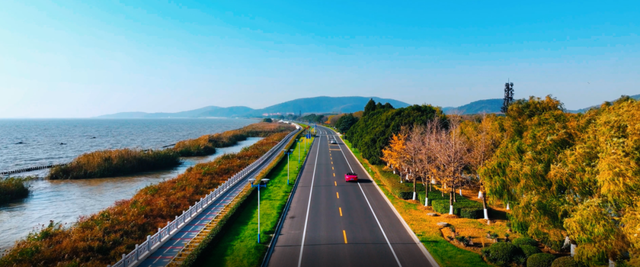 定了！无锡这段网红路要变…