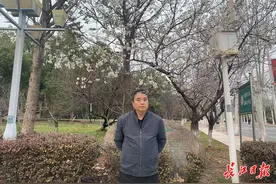 武汉有位“樱花教授”，研究38年培育出和武大不一样的樱花图片