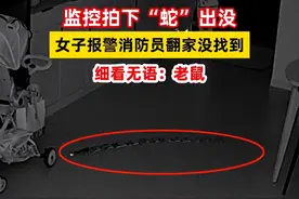 27楼家中溜进“黑蛇”，后来发现原来都是监控惹的祸！图片
