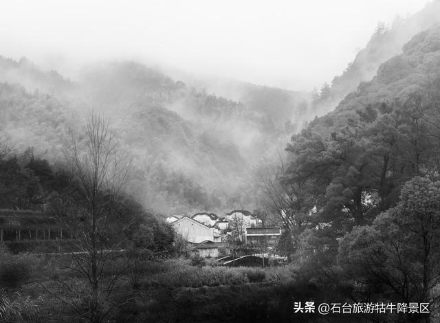 霜染西黄山，新岁诗意浓