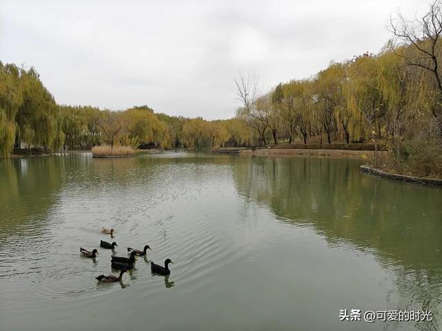 寻趣石家庄——在翠屏山感受秋天的尾巴