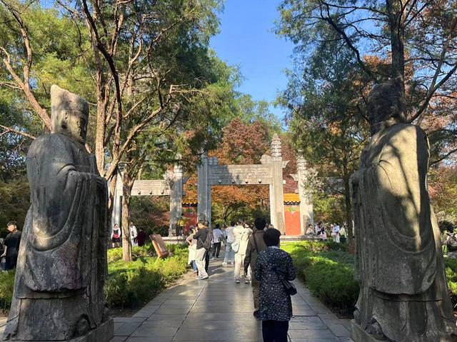 秋冬交替的明孝陵神道：一半秋意浓，一半冬风凉