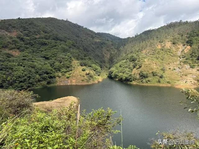 徒步武定香水箐，赏野草香飘、听溪流淙淙，徜徉绿水青山中，惬意