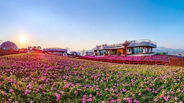 操盘手必懂｜解码景区合作运营的八大路径和十大要点