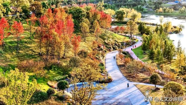 山水浸染秋之色，晚风捎来桂花香