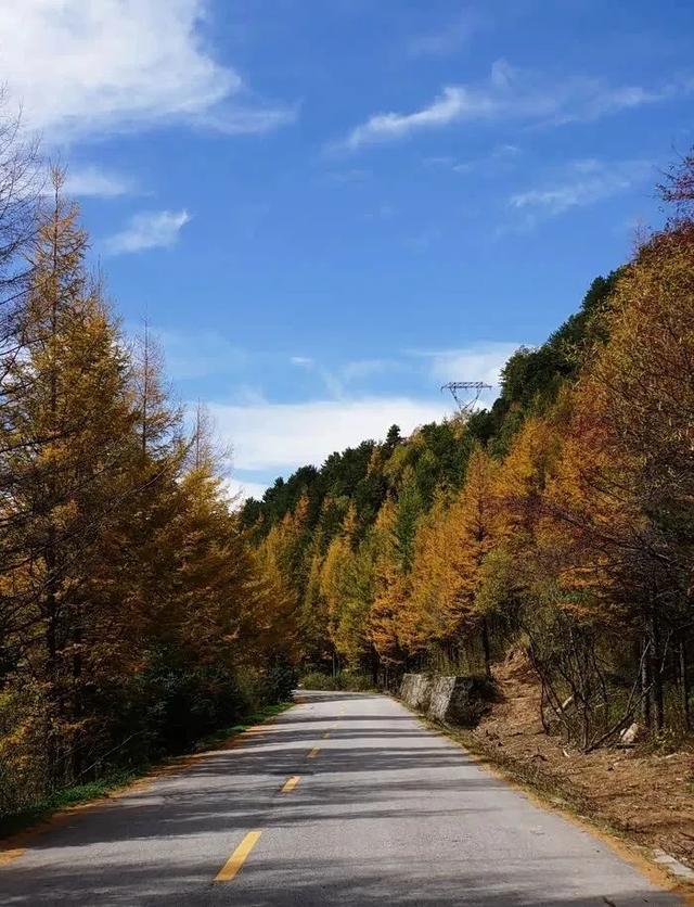 秦岭深处藏着一条“神仙路”，10月底正是它最美的时候
