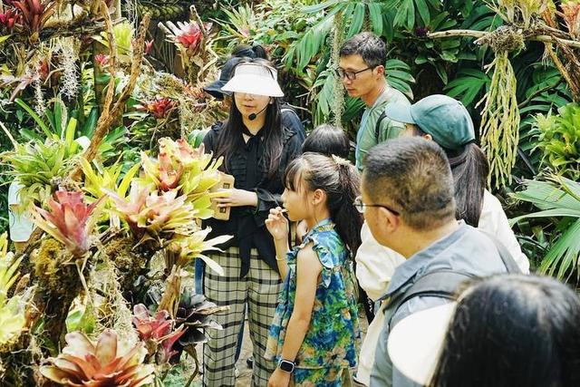 中国又1个大省被盯上，37万外国人赖着不走，还想要长久生活