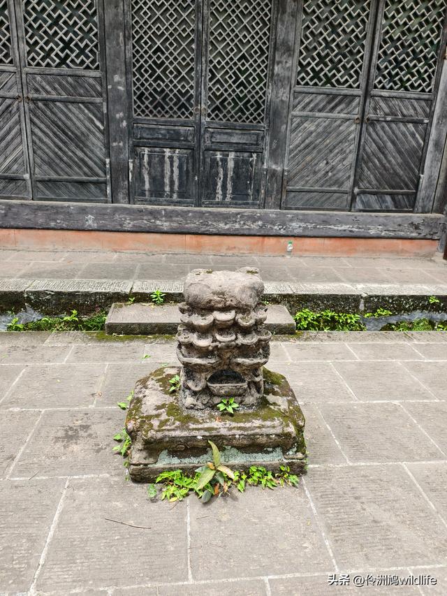 成都徒步（64）·新津篇③观音寺