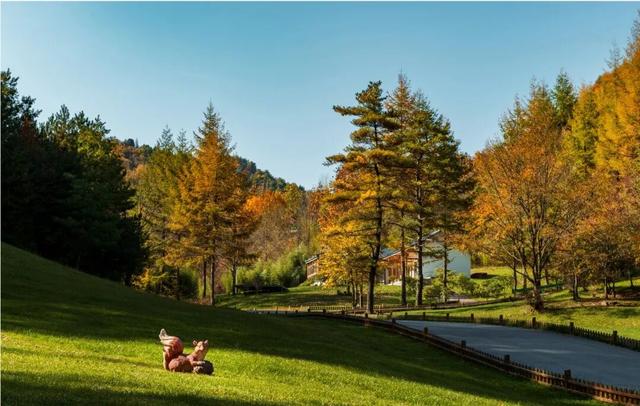 广元不远 周末优选 | 秋色短暂，曾家山赏秋路线来啦！