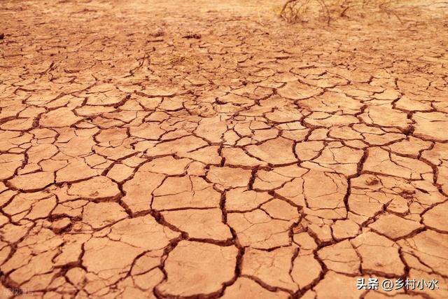 “最怕冬至是晴天”，明日冬至，晴天有啥预兆？看农谚咋说