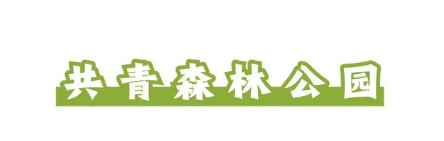 周五宠粉日|运动赏景两不误!这份公园运动指南请查收,更有辰山植物园门票等你免费领