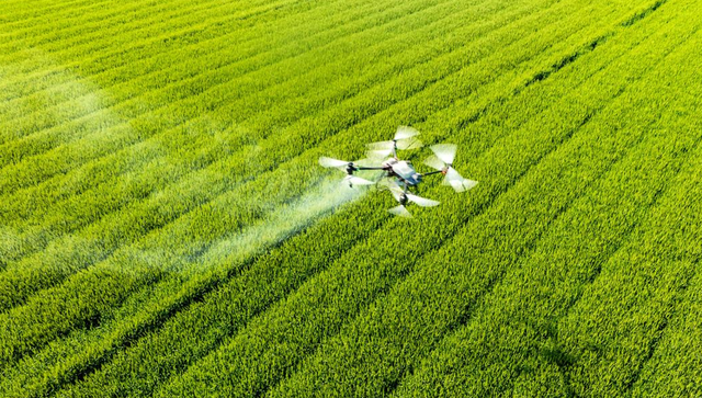 特朗普对华下死手？中国无人机遭全面封杀！中国取消13万吨小麦！