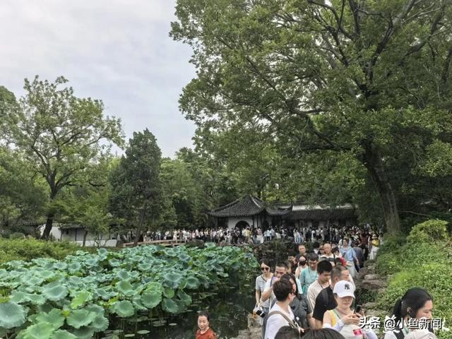 苏州,红红火火!
