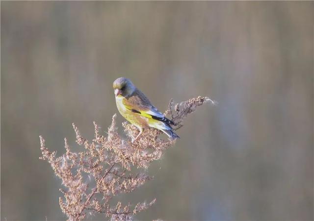 全国优秀！被国家认证的2处绝色水景，究竟有多美！