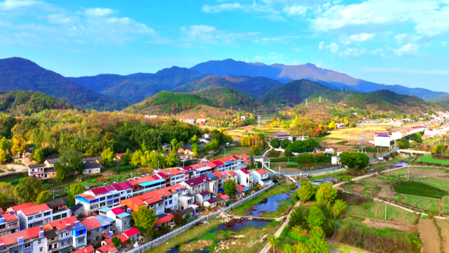 孝昌笔架村：红色热土上的绿色蝶变