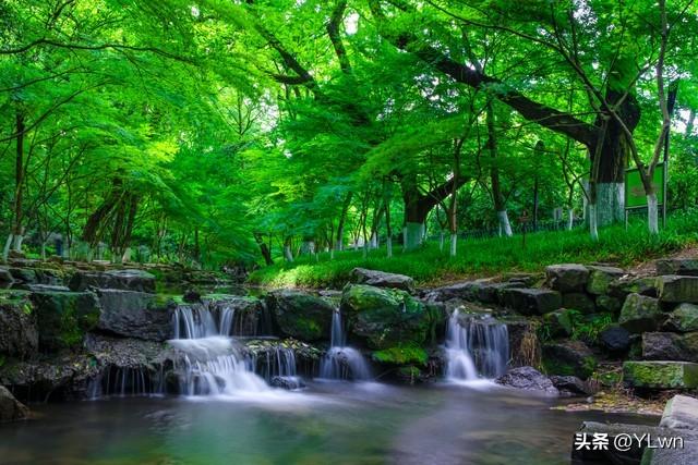 新西湖十景之一九溪烟树攻略