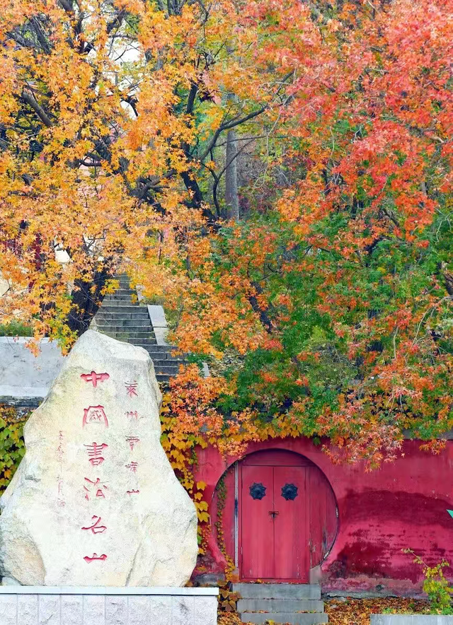 在山东这个“神仙小城”，远离人潮，过几天山海相依、文墨飘香的日子