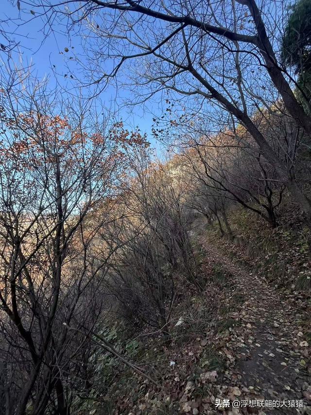 游赏过九鼎山后，我又跑到一户院里“强买”了大爷种在路边的白菜