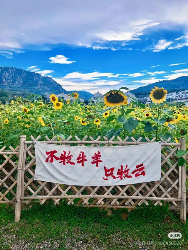 五莲拾光音乐巴士，本周六出发！
